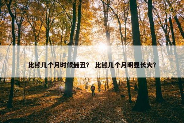 比熊几个月时候最丑？ 比熊几个月明显长大？