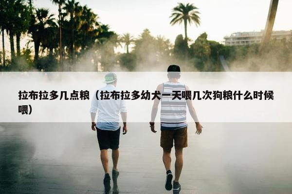 拉布拉多几点粮（拉布拉多幼犬一天喂几次狗粮什么时候喂）