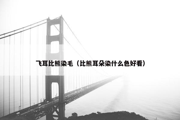 飞耳比熊染毛（比熊耳朵染什么色好看）