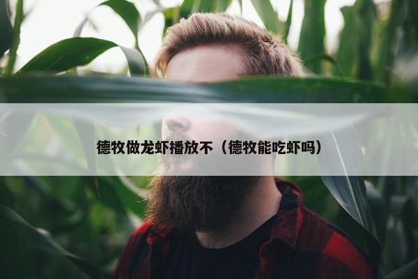 德牧做龙虾播放不（德牧能吃虾吗）