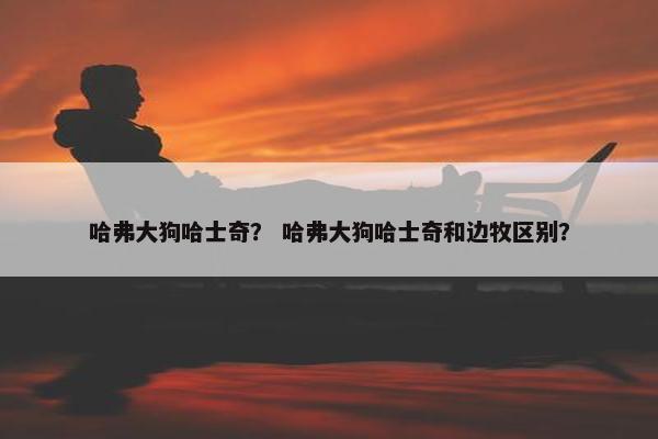 哈弗大狗哈士奇？ 哈弗大狗哈士奇和边牧区别？