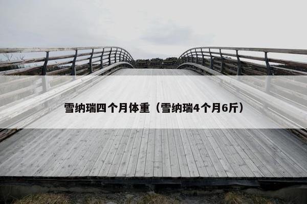 雪纳瑞四个月体重（雪纳瑞4个月6斤）