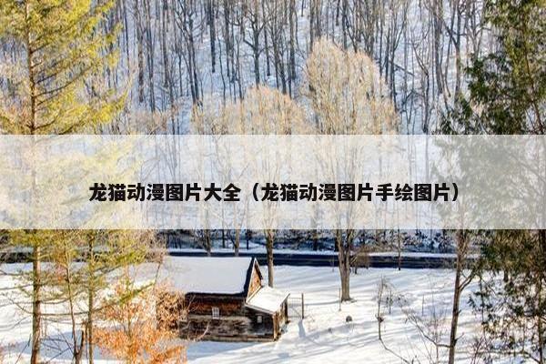 龙猫 第31页