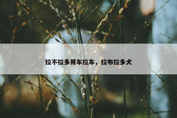 拉不拉多用车拉车，拉布拉多犬