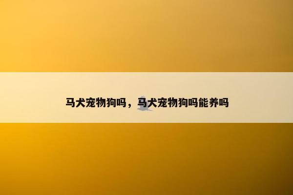 马犬宠物狗吗，马犬宠物狗吗能养吗