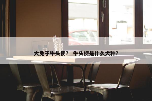 大兔子牛头梗？ 牛头梗是什么犬种？