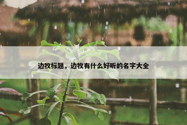 边牧标题，边牧有什么好听的名字大全