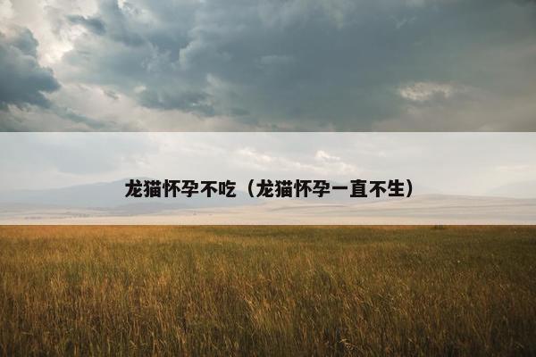 龙猫怀孕不吃（龙猫怀孕一直不生）