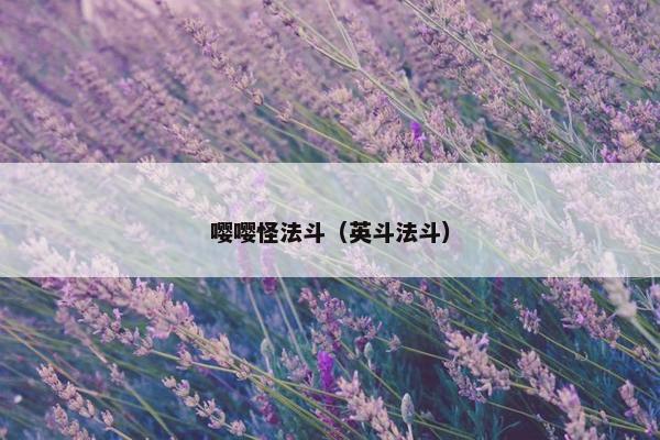 嘤嘤怪法斗（英斗法斗）