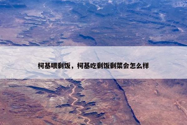 柯基喂剩饭，柯基吃剩饭剩菜会怎么样