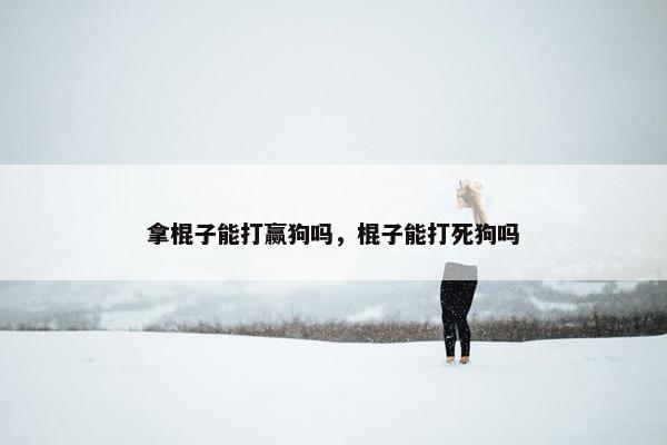 棍子