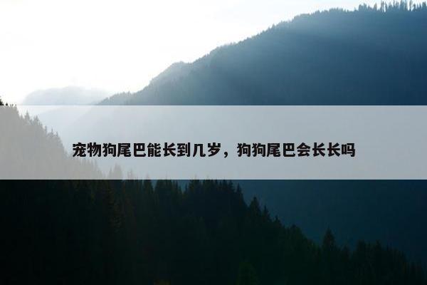 宠物狗尾巴能长到几岁，狗狗尾巴会长长吗