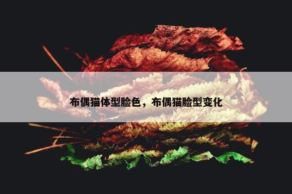 布偶猫体型脸色，布偶猫脸型变化