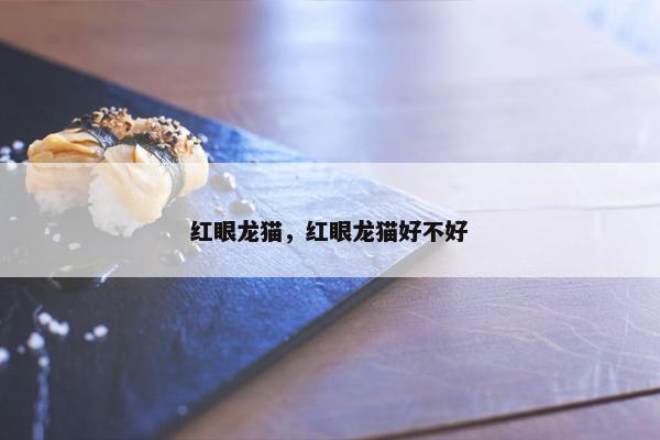 红眼龙猫，红眼龙猫好不好