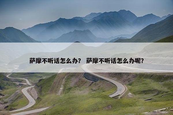 萨摩不听话怎么办？ 萨摩不听话怎么办呢？