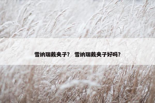 雪纳瑞戴夹子？ 雪纳瑞戴夹子好吗？