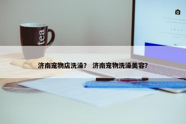 济南宠物店洗澡？ 济南宠物洗澡美容？