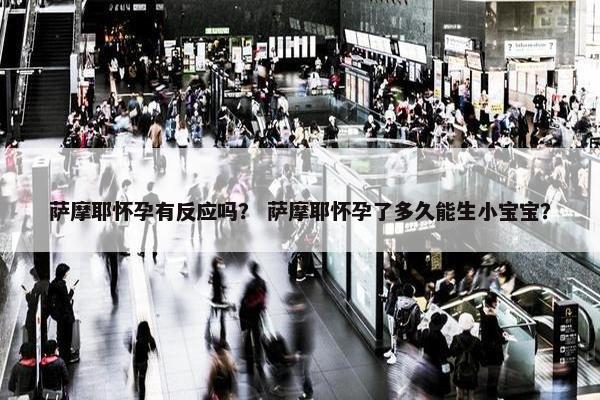 萨摩耶怀孕有反应吗？ 萨摩耶怀孕了多久能生小宝宝？
