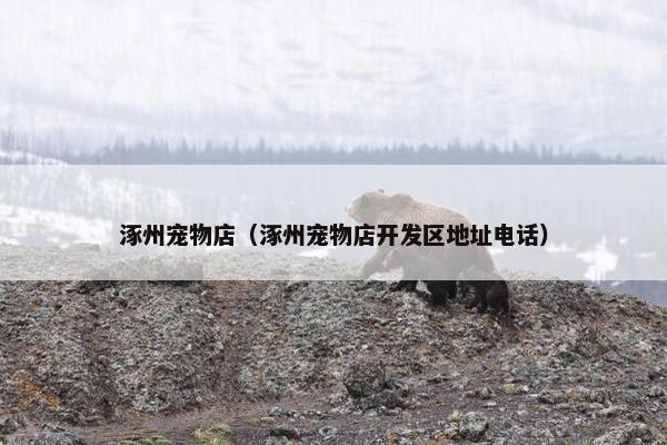 涿州宠物店（涿州宠物店开发区地址电话）