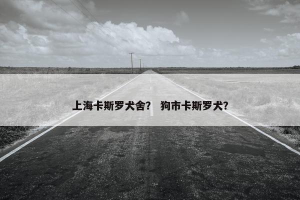 上海卡斯罗犬舍？ 狗市卡斯罗犬？