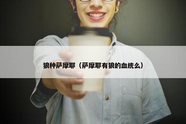 狼种萨摩耶（萨摩耶有狼的血统么）
