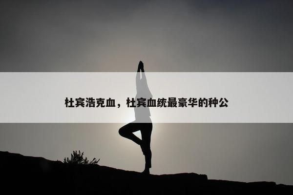 奥克