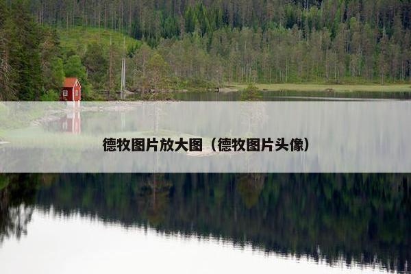 德牧图片放大图（德牧图片头像）