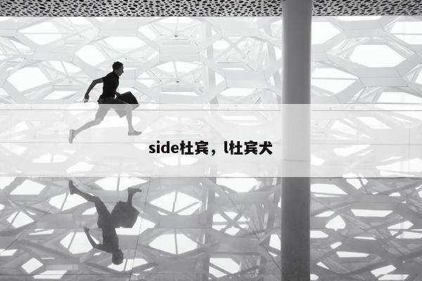 side杜宾，l杜宾犬