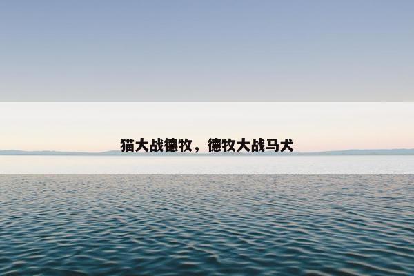 猫大战德牧，德牧大战马犬