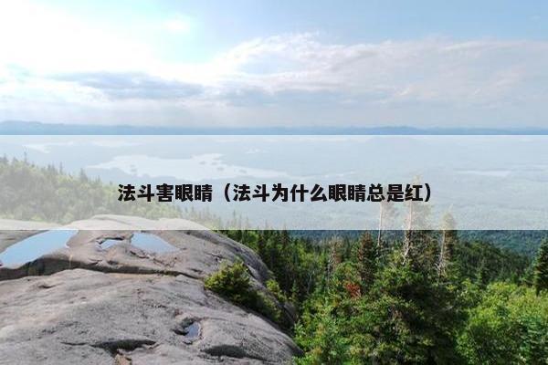 法斗害眼睛（法斗为什么眼睛总是红）
