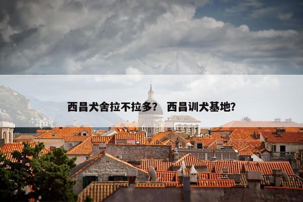 西昌犬舍拉不拉多？ 西昌训犬基地？