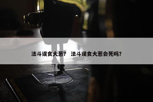牛油果