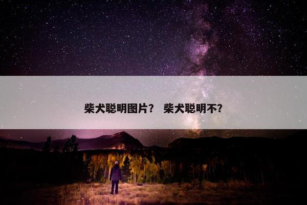 柴犬聪明图片？ 柴犬聪明不？