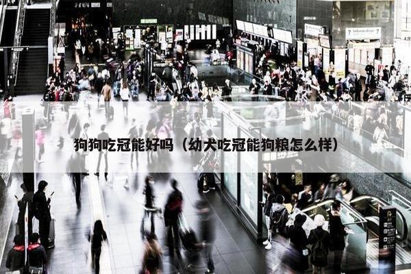 多乐