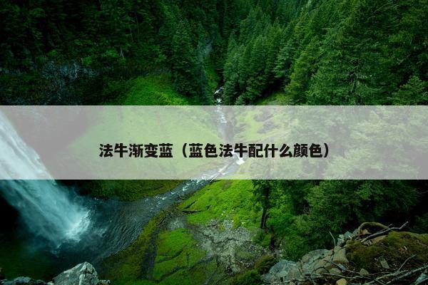 法牛渐变蓝（蓝色法牛配什么颜色）