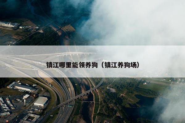 狗能 第33页