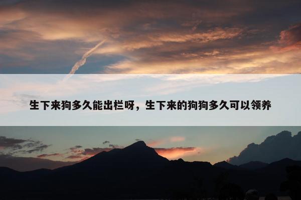 生下来狗多久能出栏呀，生下来的狗狗多久可以领养