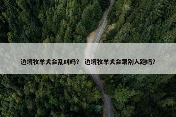边境牧羊犬会乱叫吗？ 边境牧羊犬会跟别人跑吗？