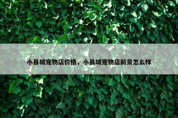 小县城宠物店价格，小县城宠物店前景怎么样