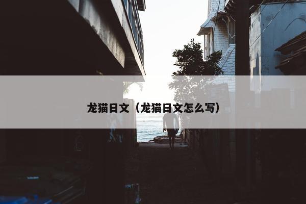 龙猫日文（龙猫日文怎么写）