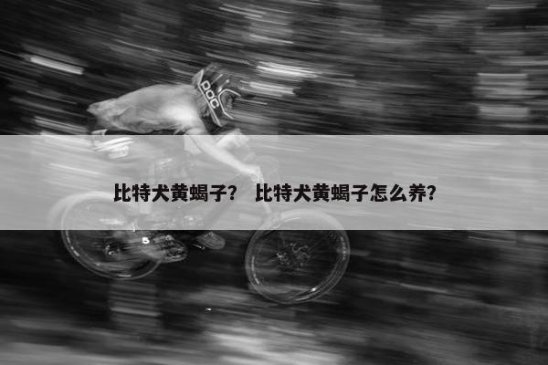 比特犬黄蝎子？ 比特犬黄蝎子怎么养？