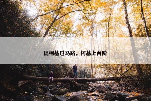 提柯基过马路，柯基上台阶