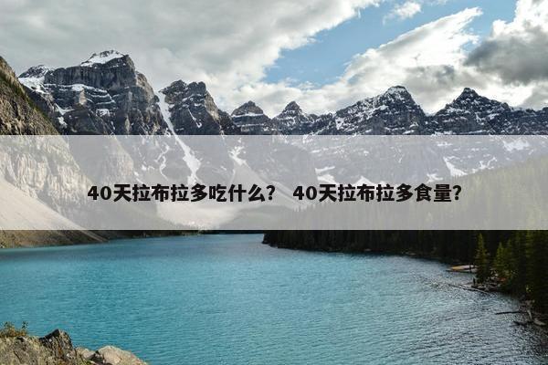 40天拉布拉多吃什么？ 40天拉布拉多食量？