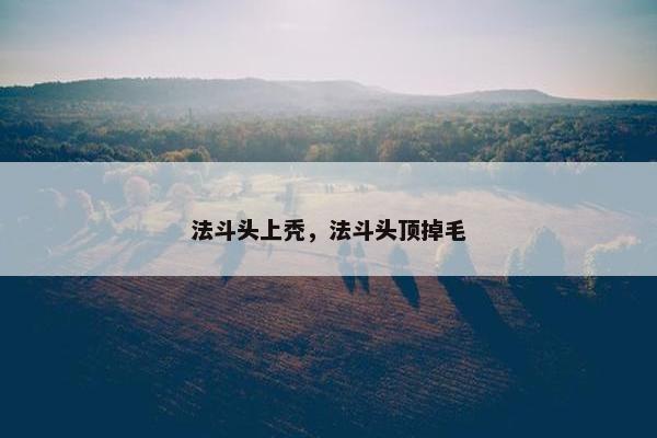 法斗头上秃，法斗头顶掉毛