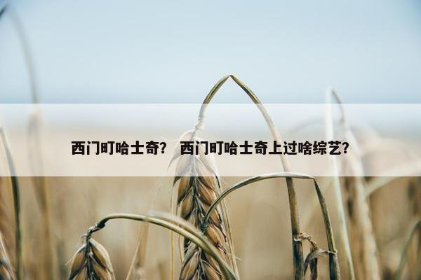 西门町哈士奇？ 西门町哈士奇上过啥综艺？