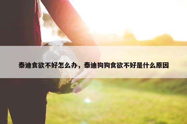 泰迪食欲不好怎么办，泰迪狗狗食欲不好是什么原因