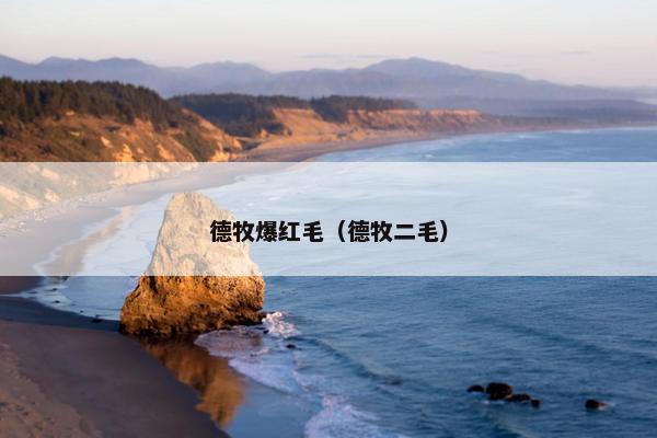 德牧爆红毛（德牧二毛）