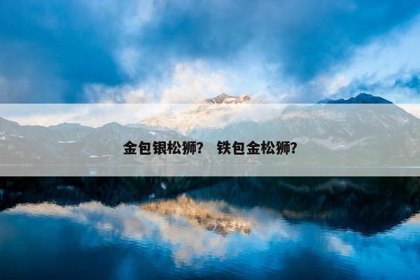 金包银松狮？ 铁包金松狮？