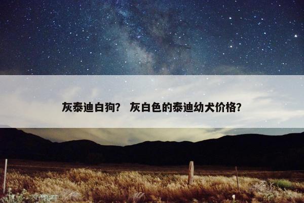 灰泰迪白狗？ 灰白色的泰迪幼犬价格？