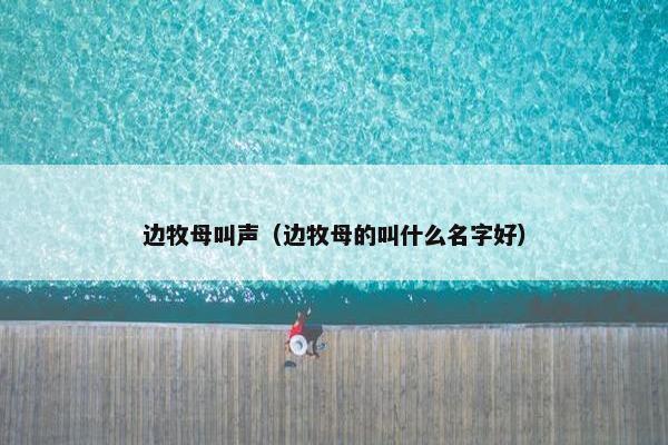 边牧母叫声（边牧母的叫什么名字好）